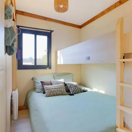 - Piscine - Ccbbdag *