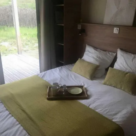 - Piscine - Ccbbdag Camping Vic-sur-Cère