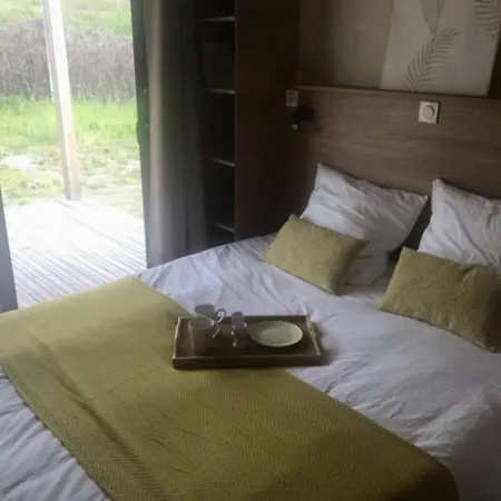 Campsite Zecamping 4 Etoiles Animaux Acceptes Tennis Piscine Couverte Vic-sur-Cere