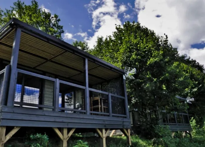 Zecamping 4 Etoiles Animaux Acceptes Tennis Piscine Couverte 4* Вик-сюр-Сер