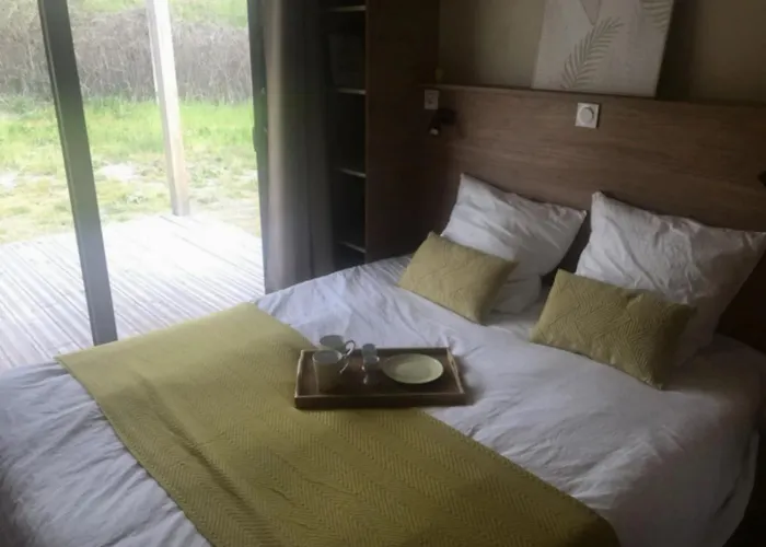 Кемпинг Zecamping 4 Etoiles Animaux Acceptes Tennis Piscine Couverte Вик-сюр-Сер