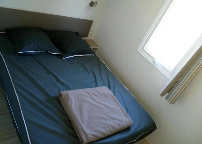 Zecamping 4 Etoiles Animaux Acceptes Tennis Piscine Couverte Кемпинг Вик-сюр-Сер